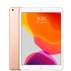 iPad 7 10.2", 32GB, WiFi, золотой (подержанный, состояние A) цена и информация | Планшеты | 220.lv