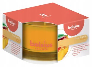 Ароматическая свеча Bolsius True Scents, 5x8 см, манго цена и информация | Подсвечники, свечи | 220.lv