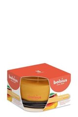 Ароматическая свеча Bolsius True Scents, 6,3x9 см, манго цена и информация | Подсвечники, свечи | 220.lv