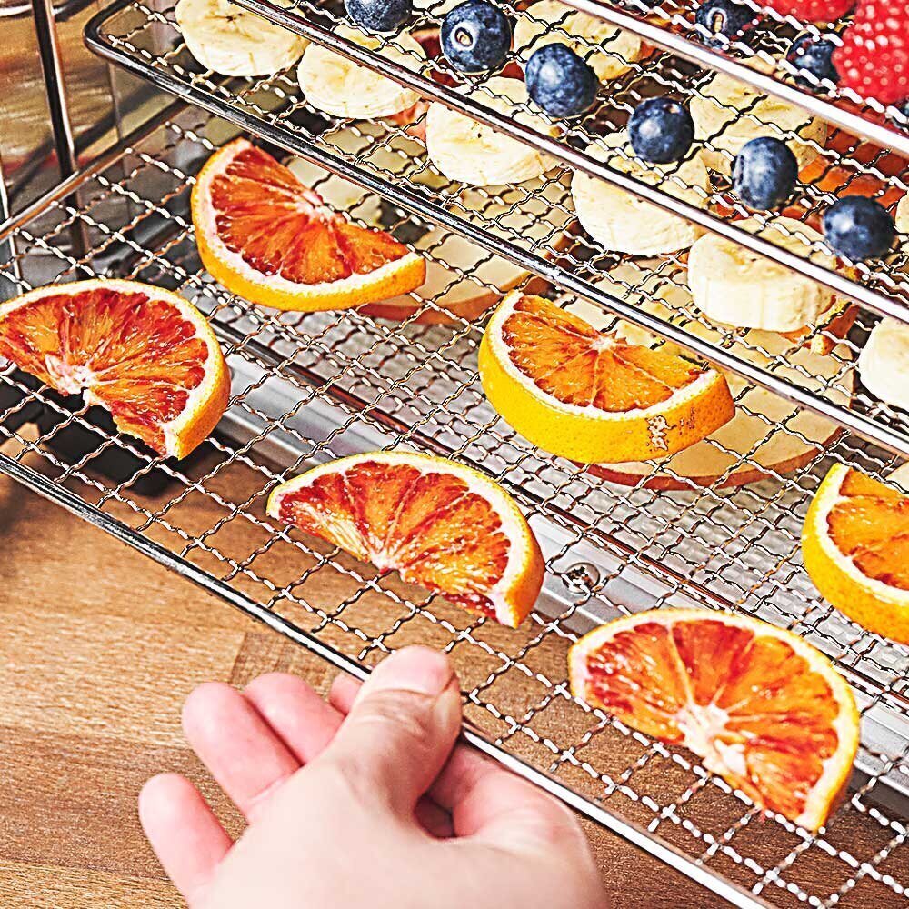 Gastroback Design Dehydrator Max cena un informācija | Augļu žāvētāji | 220.lv