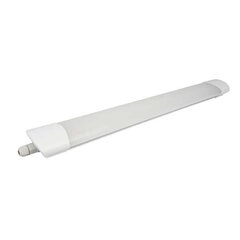 LED gaismeklis 125cm 36W IP65 4000k/3600Lm цена и информация | Потолочные светильники | 220.lv