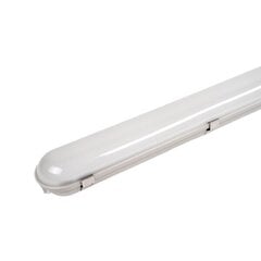 LED gaismeklis 55W IP65 150cm 4500k/5500Lm цена и информация | Потолочные светильники | 220.lv