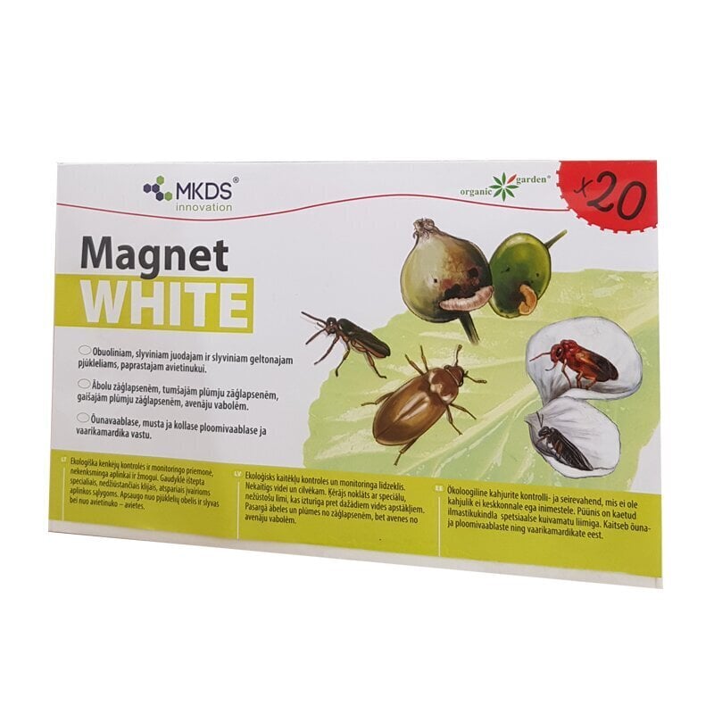Mini MAGNET white (20X12 cm) – ābolu un plūmju zāģlapseņu, aveņu vaboļu lamatas, 20 gab цена и информация | Augu kopšanas līdzekļi | 220.lv