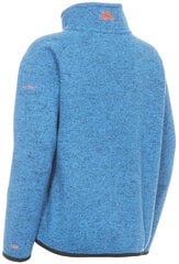 Свитер Mario Male Fleece AT300 MCFLFLM20002-BM1.9/10 цена и информация | Свитеры, жилетки, пиджаки для мальчиков | 220.lv