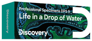 Слайды Discovery Prof Specimens DPS 5. «Амфибия» цена и информация | Телескопы и микроскопы | 220.lv
