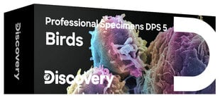 Discovery Prof specimens DPS 5 цена и информация | Телескопы и микроскопы | 220.lv