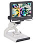 Levenhuk Rainbow DM700 LCD цена и информация | Teleskopi un mikroskopi | 220.lv