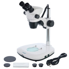 Levenhuk ZOOM 1B cena un informācija | Teleskopi un mikroskopi | 220.lv