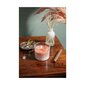 Bolsius aromātiskā svece ar vāku True Joy, 6,6x8,3 cm, ziedu aromāts cena un informācija | Sveces un svečturi | 220.lv