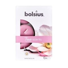 Чайные свечи Bolsius True Scents, 6 шт., магнолия цена и информация | Подсвечники, свечи | 220.lv