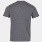 Vīriešu sporta t-krekls Joma Desert M 101739.280, pelēks цена и информация | Sporta apģērbs vīriešiem | 220.lv
