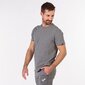 Vīriešu sporta t-krekls Joma Desert M 101739.280, pelēks cena un informācija | Sporta apģērbs vīriešiem | 220.lv