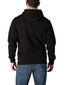 Vīriešu džemperis Tommy Hilfiger Jeans BFN -G-339316 цена и информация | Vīriešu jakas | 220.lv