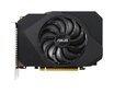 Nvidia GeForce GTX 1650 cena un informācija | Videokartes (GPU) | 220.lv