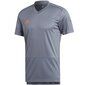 T-krekls vīriešiem Adidas Condivo 18 Training M CG0359 85552, pelēks цена и информация | Vīriešu T-krekli | 220.lv