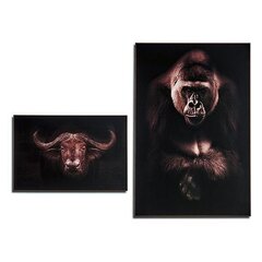 Картина Gorilla цена и информация | Картины | 220.lv