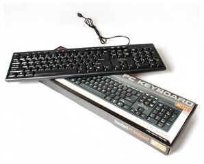 Media-Tech MT122KUUS keyboard USB QWERTY Black цена и информация | Клавиатуры | 220.lv