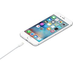 Apple Lightning-USB kabeli (1m) cena un informācija | Savienotājkabeļi | 220.lv