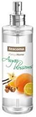 Mājas smaržas ar aerosolu Tescoma Fancy Home Flores de Argão, 250 ml cena un informācija | Mājas aromāti | 220.lv