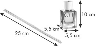 Mājas smaržas ar kociņiem Tescoma Fancy Home Verbena, 100 ml cena un informācija | Mājas aromāti | 220.lv