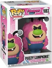 Figūriņa Funko POP! Powerpuff Girls – Fuzzy Lumpkins cena un informācija | Rotaļlietas zēniem | 220.lv