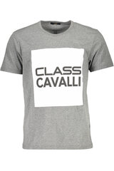 Vīriešu T-krekls Cavalli Class, pelēks cena un informācija | Vīriešu T-krekli | 220.lv