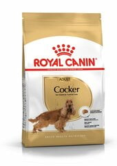 ROYAL CANIN взрослые кокер-спаниели Cocker adult, 3 kg цена и информация | Сухой корм для собак | 220.lv