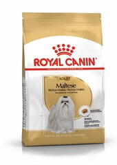 Royal Canin взрослый мальтийский бизон Maltese Adult, 1,5kg цена и информация | Сухой корм для собак | 220.lv