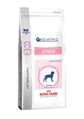 Royal Canin bērniem ar ādas problēmām vai jutīgu gremošanas sistēmu Pediatric Junior, 4 kg cena un informācija | Sausā barība suņiem | 220.lv