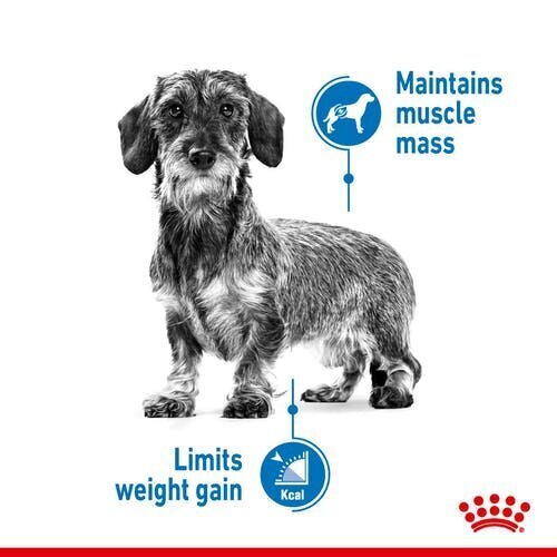 Royal Canin suņiem, kuriem ir tendence pieņemties svarā Mini Light Weight Care, 3 kg cena un informācija | Sausā barība suņiem | 220.lv