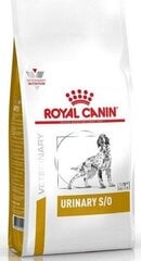 Корм для собаки при проблемах с почками Royal Canin Dog Urinary S/O, 13 кг цена и информация |  Сухой корм для собак | 220.lv