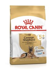 Royal Canin vecākiem vācu aitu suņiem German Shepherd Adult +5, 12kg cena un informācija | Sausā barība suņiem | 220.lv