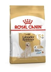 Royal Canin Labrador Ageing 5+, 12kg cena un informācija | Royal Canin Suņiem | 220.lv