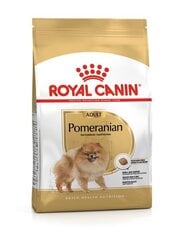 ROYAL CANIN pieaugušiem Pomerānijas špiciem Pomeranian Adult, 1,5 kg cena un informācija | Royal Canin Suņiem | 220.lv