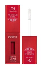 Lūpu krāsa Gabriella Salvete Winter Time Matte Lips 01 Candy Cane, 4.5 ml cena un informācija | Lūpu krāsas, balzāmi, spīdumi, vazelīns | 220.lv