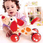 HAPE koka stumjamā rotaļlieta E0347 цена и информация | Rotaļlietas zīdaiņiem | 220.lv