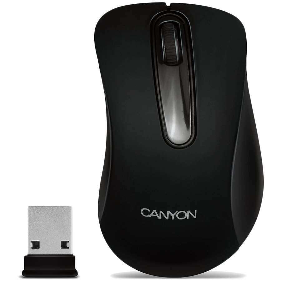 CANYON MW-2 Wireless Optical Mouse - Black цена и информация | Peles | 220.lv