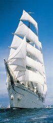 Фотообои Sailing Boat цена и информация | Фотообои | 220.lv