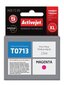 ActiveJet Epson T0713 Magenta Ink cartridge цена и информация | Tintes kārtridži | 220.lv