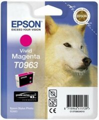 Epson T096, sarkans cena un informācija | Tintes kārtridži | 220.lv