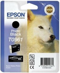 Epson T096 Photo Black Cartridge Epson cena un informācija | Tintes kārtridži | 220.lv