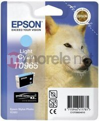 Epson C13T09654010 цена и информация | Epson Офисная техника и принадлежности | 220.lv