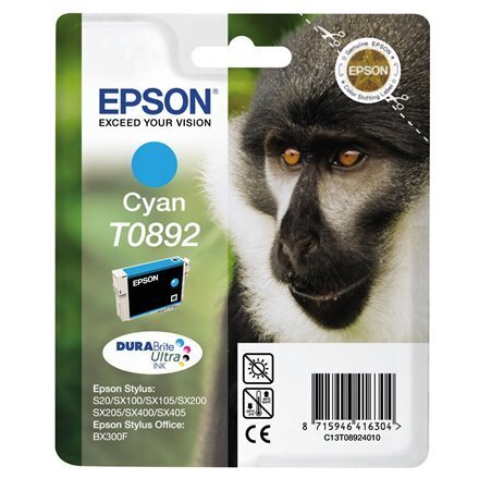 Tintes kasetne Epson C13T089240, zila цена и информация | Tintes kārtridži | 220.lv