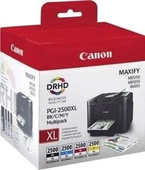 Картридж с оригинальными чернилами (4 штуки) Canon 2500XL MAXIFY iB4050 XL, разноцветный цена и информация | Картриджи для струйных принтеров | 220.lv