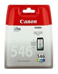 INK CARTRIDGE COLOR CL-546/8289B004 CANON цена и информация | Картриджи для струйных принтеров | 220.lv