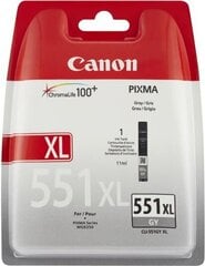 Картридж CLI-551GY XL, Canon, 6447B004 цена и информация | Картриджи для струйных принтеров | 220.lv