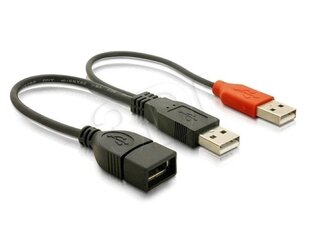 Delock - Удлинитель USB 2.0 2xA(M)-A(F) цена и информация | USB накопители | 220.lv