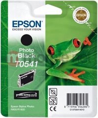 Ink Epson T0541 photo black | Stylus Photo R800/1800 cena un informācija | Tintes kārtridži | 220.lv