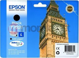 EPSON WP4000/4500 INK C. L BLACK 1.2K цена и информация | Картриджи для струйных принтеров | 220.lv