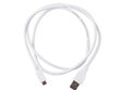 GEMBIRD kabelis MIKRO USB 2.0 1M balts цена и информация | Kabeļi un vadi | 220.lv